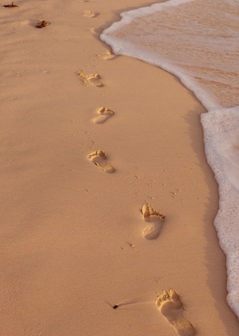 Foot Prints